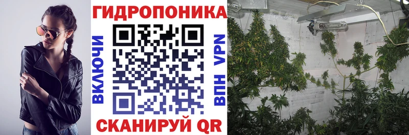 Конопля Волжск