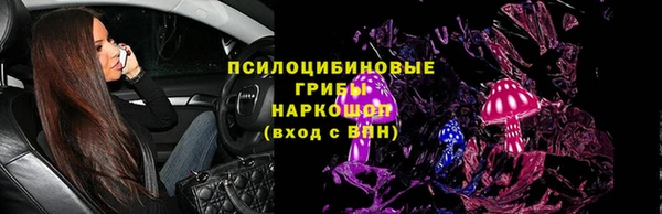 прущие грибы Белоозёрский