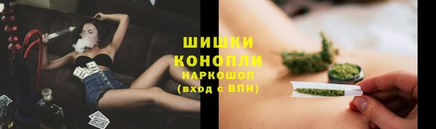 прущие грибы Белоозёрский