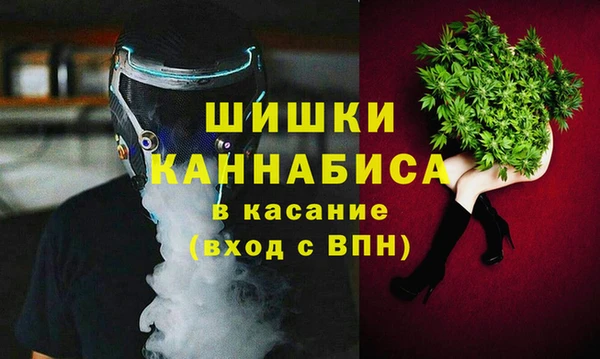 прущие грибы Белоозёрский