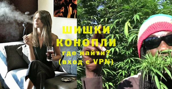 прущие грибы Белоозёрский