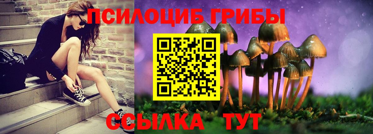 Волжск  Псилоцибиновые грибы прущие грибы  Вход с VPN 